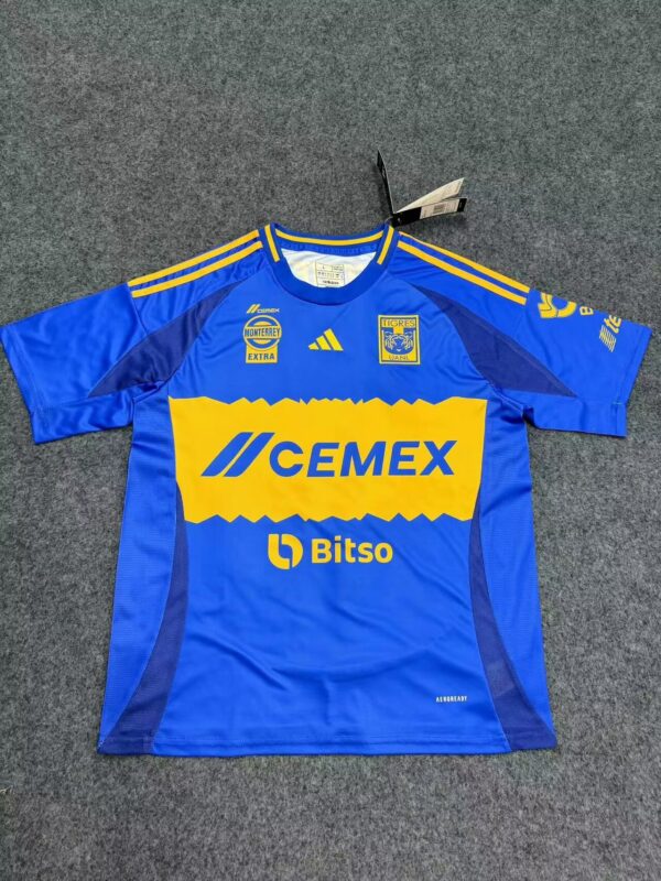 Tigres Visita 24/25