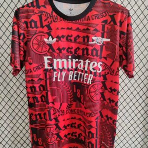 Jersey Entrenamiento Arsenal 25/26 - Roja